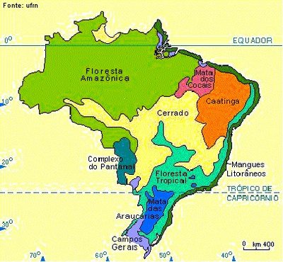Vegetação do Brasil: mapa, tipos, características - Brasil Escola