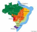 O Brasil tem seu territrio ocupado por seis grandes biomas terrestres compreendidos por: Amaznia, cujo domnio ocupa 49,29% do territrio nacional e que  constituda principalmente por Cerrado, cujo domnio ocupa 23,92% do territrio e que  constitudo principalmente por savanas; Mata Atlntica, cujo domnio ocupa 13,04% do territrio nacional e que  constituda principalmente por Caatinga, cujo domnio ocupa 9,92% do territrio nacional e que  constituda principalmente por savana estpica; Pampa ou campos sulinos, cujo domnio ocupa 2,07% do territrio nacional e que  constitudo principalmente por estepe e savana estpica; Pantanal, cujo domnio ocupa 1,76% do territrio nacional e que  constitudo principalmente por savana estpica.</br></br>Palavras-chave: Bioma. Mapa. Brasil. Socioambiental. Biodiversidade. Clima. Vegetao. Espao. Territrio. Relevo.