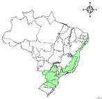 Brasil: Domnio da Mata Atlntica