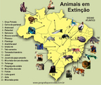 Animais em Extino no Brasil