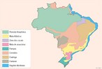Distribuio (original) da vegetao pelo territrio brasileiro.</br></br>Palavras-chave: Espao Geogrfico. Territrio. Lugar. Pas. Vegetao. Mapa. Brasil.