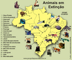 Brasil: Animais em Extino