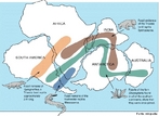 O supercontinente inclua os continentes que hoje constituem Hemisfrio Norte, incluindo a Amrica do Norte, Europa e sia do Norte. A parte inferior do globo se chamava Gondwana. </br></br> Palavras-chave: Animais. Placas Tectnicas. Deriva Continental. Gondwana.