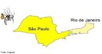 Em 1846, a Dengue foi considerada doena epidmica atingindo diversos Estados brasileiros, entre eles So Paulo e Rio de Janeiro. </br></br> Palavras-chave: Dengue. Paran. Climatologia. Mapas. Epidemia. Sade. Doenas. 