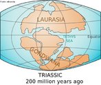 A ruptura do Pangia comeou h cerca de 200 milhes de anos, no final do perodo Trissico. O hemisfrio Norte ficou definido como Laursia e o Hemisfrio Sul, como Gondwana. </br></br> Palavras-chave: Deriva Continental. Placas Tectnicas. Continentes. Perodos. Laursia. Gondwana.