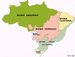 O Mapa de Biomas do Brasil, resultado de uma parceria entre o IBGE e o Ministrio do Meio Ambiente (MMA), mostra que o Bioma Amaznia e o Bioma Pantanal ocupam juntos mais de metade do territrio brasileiro. O Mapa de Vegetao do Brasil reconstitui com mais detalhes a provvel situao da vegetao na poca do descobrimento. Em tamanho mural e escala de um para cinco milhes, os dois mapas so lanados em comemorao ao Dia Mundial da Biodiversidade (22 de maio). </br></br> Palavras-chave: Biomas. Brasil. Mapas. IBGE. MMA. Territrio. Vegetao. 