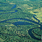 O rio Negro  o maior afluente da margem esquerda do rio Amazonas, o mais extenso rio de gua negra do mundo, e o segundo maior em volume de gua  atrs somente do Amazonas, o qual ajuda a formar. Tem sua origem entre as bacias do rio Orinoco e Amaznica, e tambm conecta-se com o Orinoco atravs do canal de Casiquiare. Na Colmbia, onde tem a sua nascente,  chamado de rio Guainia.  </br></br>  Palavras-chave: Dimenso Demogrfica. Socioambiental. Territrio. Lugar. Regio. Rio Negro. Regio Amaznica. Hidrografia. Bacia Hidrogrfica.