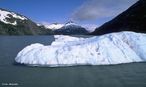 <em>Iceberg</em> (do ingls ice = "gelo" + sueco berg = "montanha")  um enorme bloco ou massa de gelo que se desprende das geleiras existentes nos calotas polares, originrias da era glacial, h mais de cinco mil anos. </br></br> Palavras-chave: Frio. Clima Polar. Neve. Gelo. Aquecimento Global. Continente.  