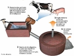 Biodigestor anaerbico  um equipamento usado para a produo de biogs, uma mistura de gases  principalmente metano. </br></br> Palavras-chave: Biogs. Metano. Meio ambiente. Energia. 