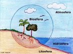 A rea da superfcie terrestre pode ser dividia em quatro geoesferas, cujo relacionamento criou ambientes que permitiram o surgimento, desenvolvimento e sustentao da vida. Essas esferas so: a litosfera, atmosfera, hidrosfera e biosfera. </br></br> Palavras-chave: Biosfera. Ambientes. Vida. Litosfera. Atmosfera. Hidrosfera. 
