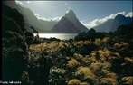A Nova Zelndia (<em>Aotearoa</em> em Maori)  um pas de clima temperado, localizado no sudoeste do Oceano Pacfico, considerado como parte da Polinsia, faz parte da Oceania. A sua capital  a cidade de Wellington. </br></br> Palavras-chave: Nova Zelndia. Paisagem. Territrio. Pas. Lugar. Natureza. Dimenso Socioambiental. 