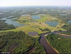 Biomas: Pantanal