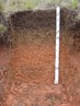 Cambissolos so solos de encostas, pouco profundo (de 50 cm a 1 m) e bem drenados (a gua infiltra com facilidade). Ocorrem caracteristicamente em paisagens mais declivosas.</br></br>So predominantes em 11% do territrio paranaense, principalmente no sul e leste do estado. Quando frteis, so intensamente usados, apesar do relevo mais acidentado. Naqueles de baixa fertilidade (maioria no Paran), porm situados em relevo plano, a utilizao de corretivos e adubos os tornam produtivos. </br></br>Palavras-chave: Solos. Cambissolos. Paran. Rochas. Agricultura. Economia. Eroso. Assoreamento. Poluio. Relevo.