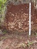 Neossolos so solos rasos em estgio inicial de evoluo. So os solos de encostas declivosas pouco profundos (50 com a 1 m) e bem drenados, determinando fragilidade ambiental.</br></br> So predominantes em 22% do territrio paranaense, ocorrendo em todas as regies, porm com pouca incidncia na regio noroeste. Como principais obstculos ao uso, podem ser citados o relevo declivoso, pouca espessura e presena de rochas. Podem ser de baixa ou alta fertilidade e, quando ricos quimicamente, so muito utilizados para a agricultura, principalmente por agricultores que possuem pequena rea. Quando possuem baixa fertilidade e relevos inclinados, os solos devem ser reservados para preservao da flora e fauna.</br></br>Palavras-chave: Solo. Paran. Neossolo. Rochas. Relevo. Agricultura. Economia. Poluio. Infiltrao. gua Subterrnea. Intemperismo.  